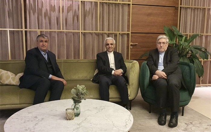 رئیس سازمان انرژی اتمی ایران وارد وین شد