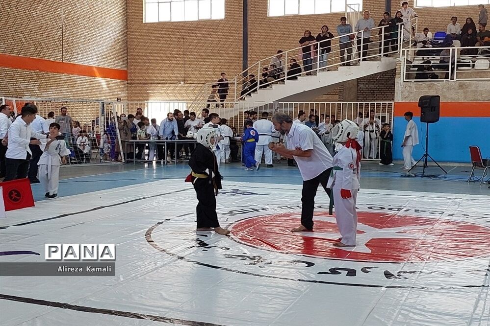 برگزاری مسابقات کشوری رزمی در صفادشت