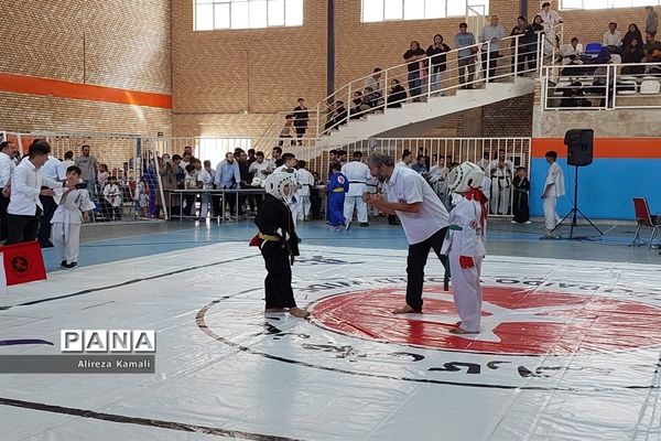 برگزاری مسابقات کشوری رزمی در صفادشت