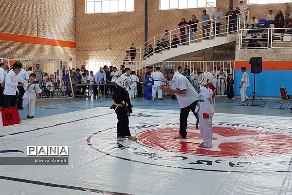 برگزاری مسابقات کشوری رزمی در صفادشت