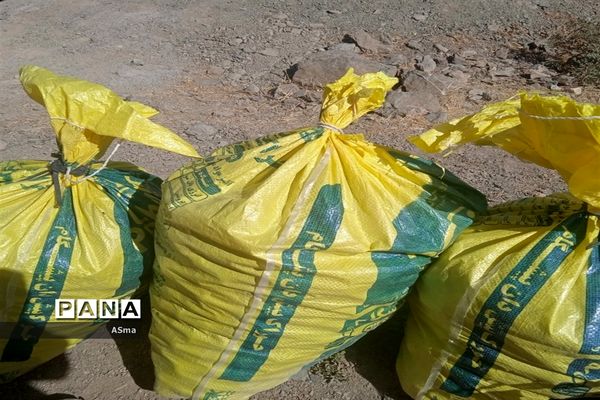 آغاز برداشت گردو در شهرستان بن