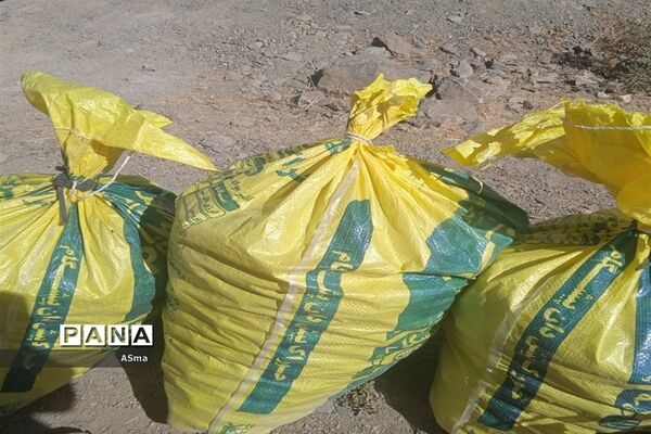 آغاز برداشت گردو در شهرستان بن