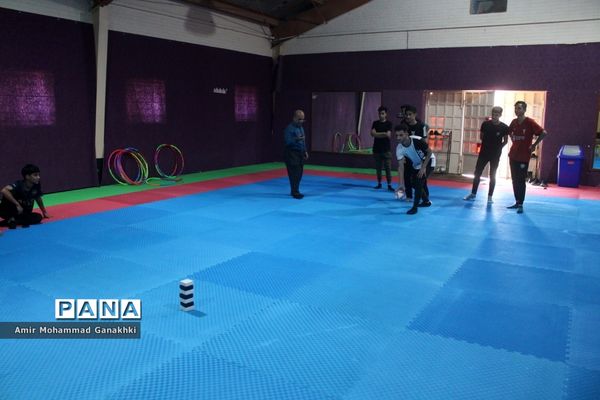 اجرای طرح مهر پویا در مدارس بوشهر