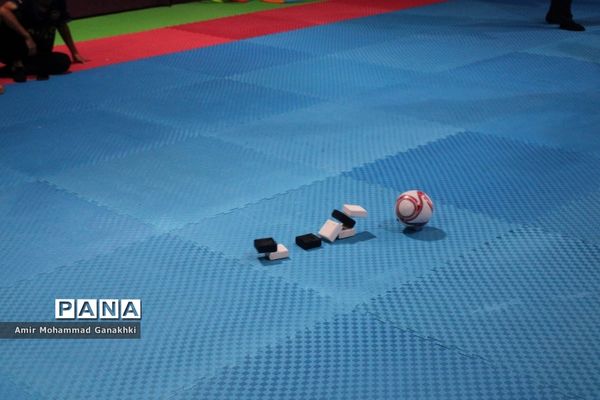 اجرای طرح مهر پویا در مدارس بوشهر