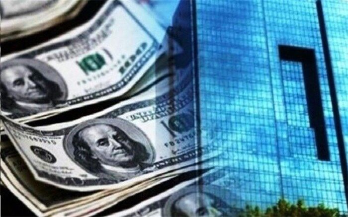 مشکلات ناشی از طولانی بودن فرایند تخصیص ارز حل می‌شود