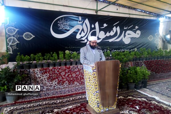 آغاز ویژه برنامه‌های هفته وحدت در تربت جام