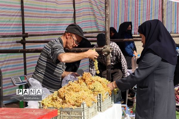 آذرشهر و پسته‌های خندانش