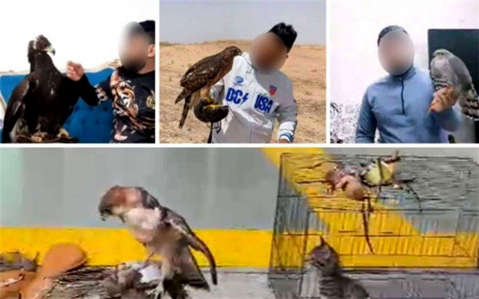 دستگیری قاچاقچی گونه‌های حیات وحش با مجموعه‌ای از پرندگان شکاری