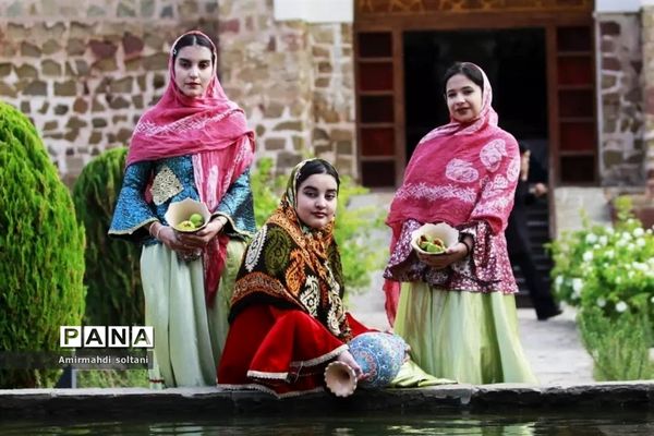 جشنواره انجیر ارس