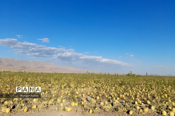 رادکان بهشت خراسان