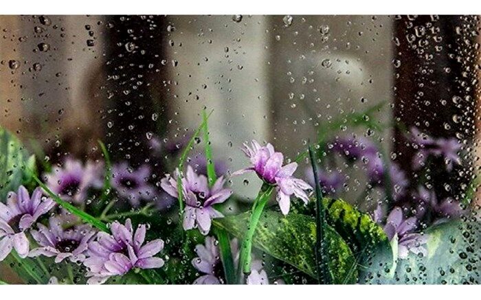 کاهش دما تا ۸ درجه در نیمه شمالی کشور