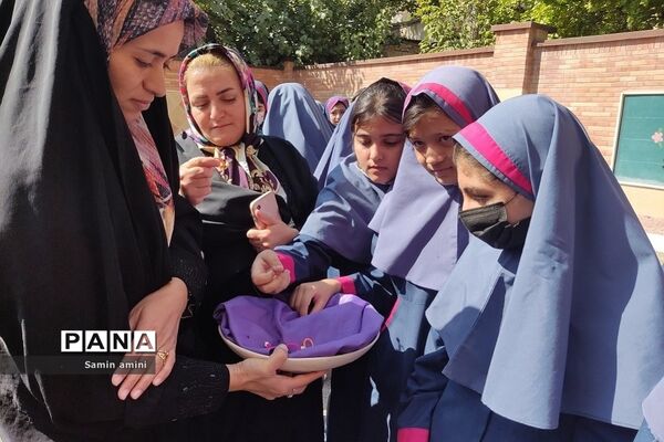جشن روز جهانی کودک در دبستان برکت آبعلی