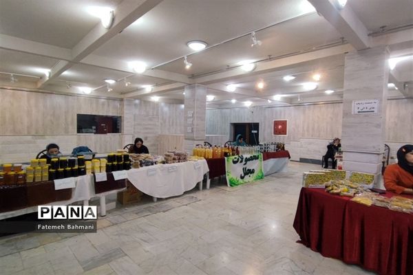 نمایشگاه توانمندی‌های روستایی در شهرستان محلات