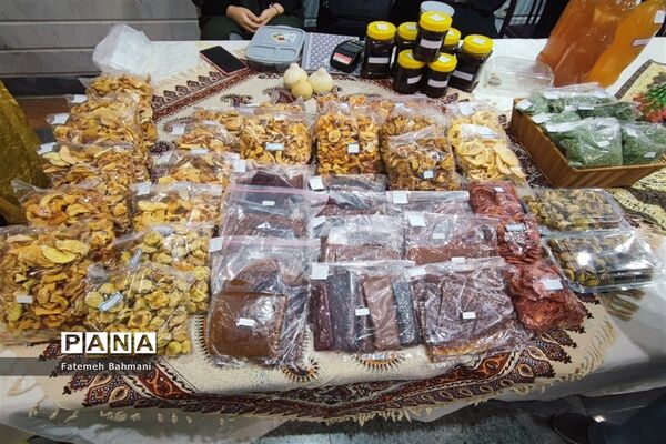 نمایشگاه توانمندی‌های روستایی در شهرستان محلات
