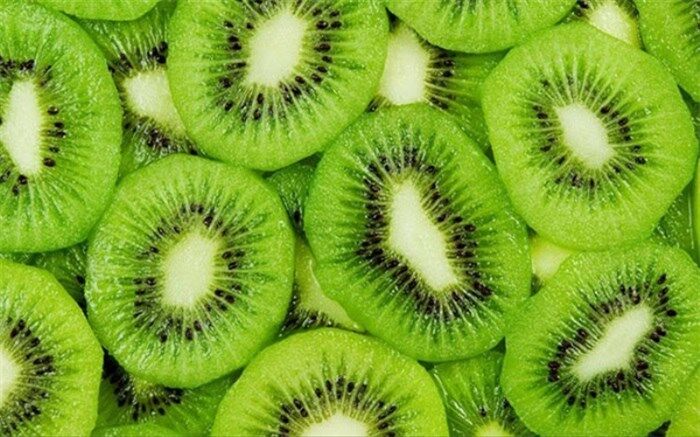 هماهنگ‌سازی ذی‌نفعان برای صادرات پایدار کیوی انجام شد