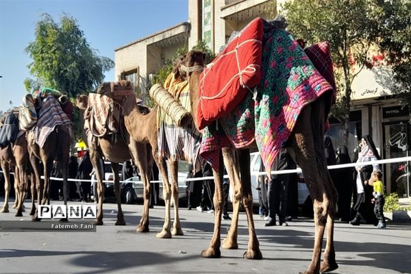 کاروان نمادین ورود حضرت معصومه(س) به قم