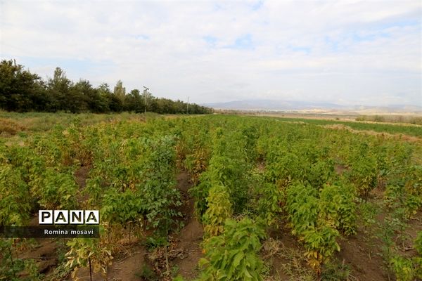 ظرفیت‌ها و اقدامات منابع طبیعی آذربایجان شرقی در شهرستان جلفا