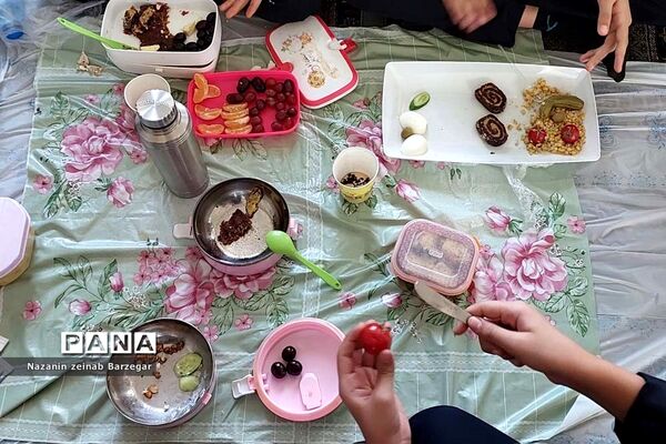 صبحانه سلامت در دبیرستان دخترانه شاهد فیض ناحیه 3 شیراز