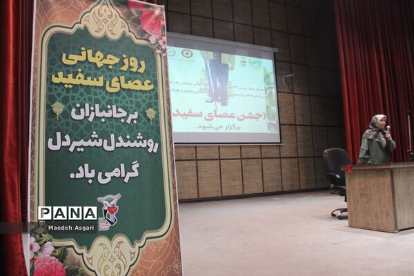 همایش روز جهانی «عصای سفید» در قم