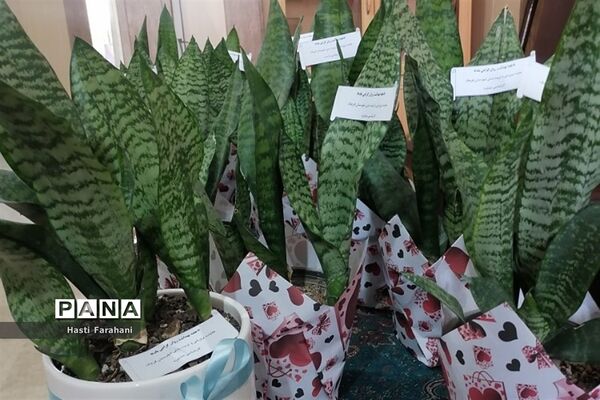 تقدیر از اعضای کمیته روانی اجتماعی توسط همیاران مشاوره قرچک