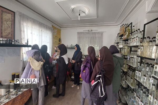 بازدید  از مزرعه للوک در بلده