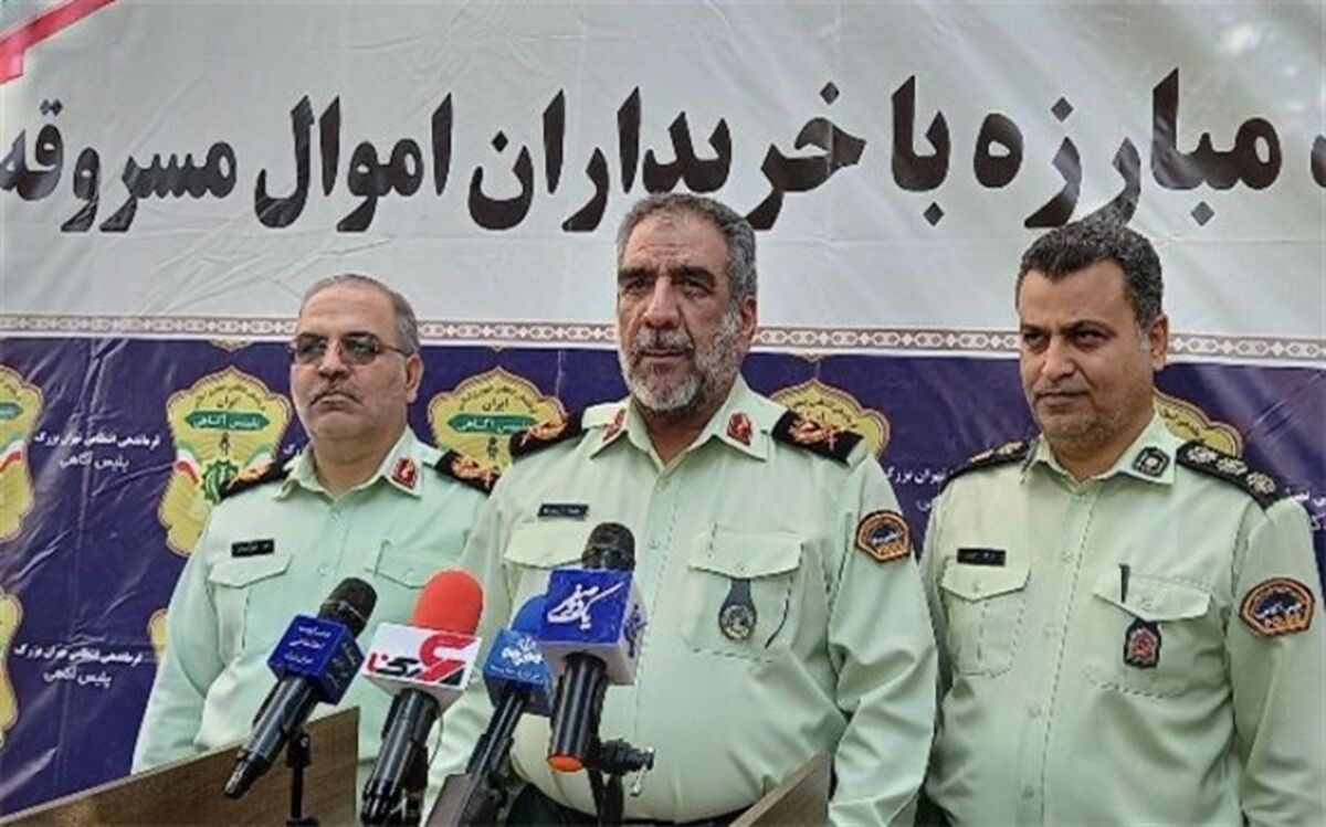 بازداشت ۲۲۰ سارق حرفه‌ای و مالخر در تهران