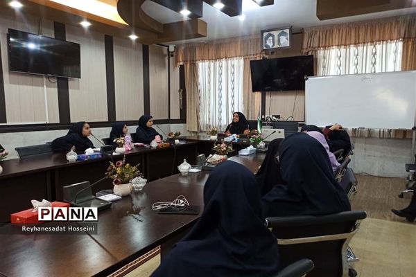 کارگاه آموزشی خبرنگاری ویژه دانش‌آموز خبرنگاران پانای ناحیه۳