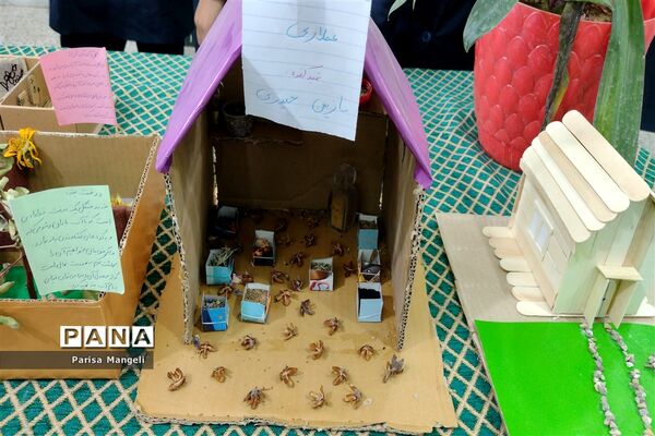 جشنواره مطالعات اجتماعی و هنرهای دستی در دبیرستان توحید شهرستان خاتم