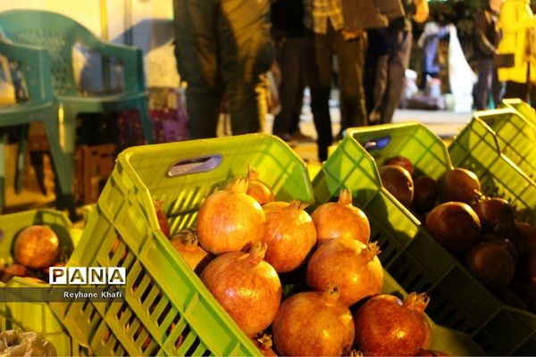 چهارمین جشنواره انار در روستای هدف گردشگری توچال