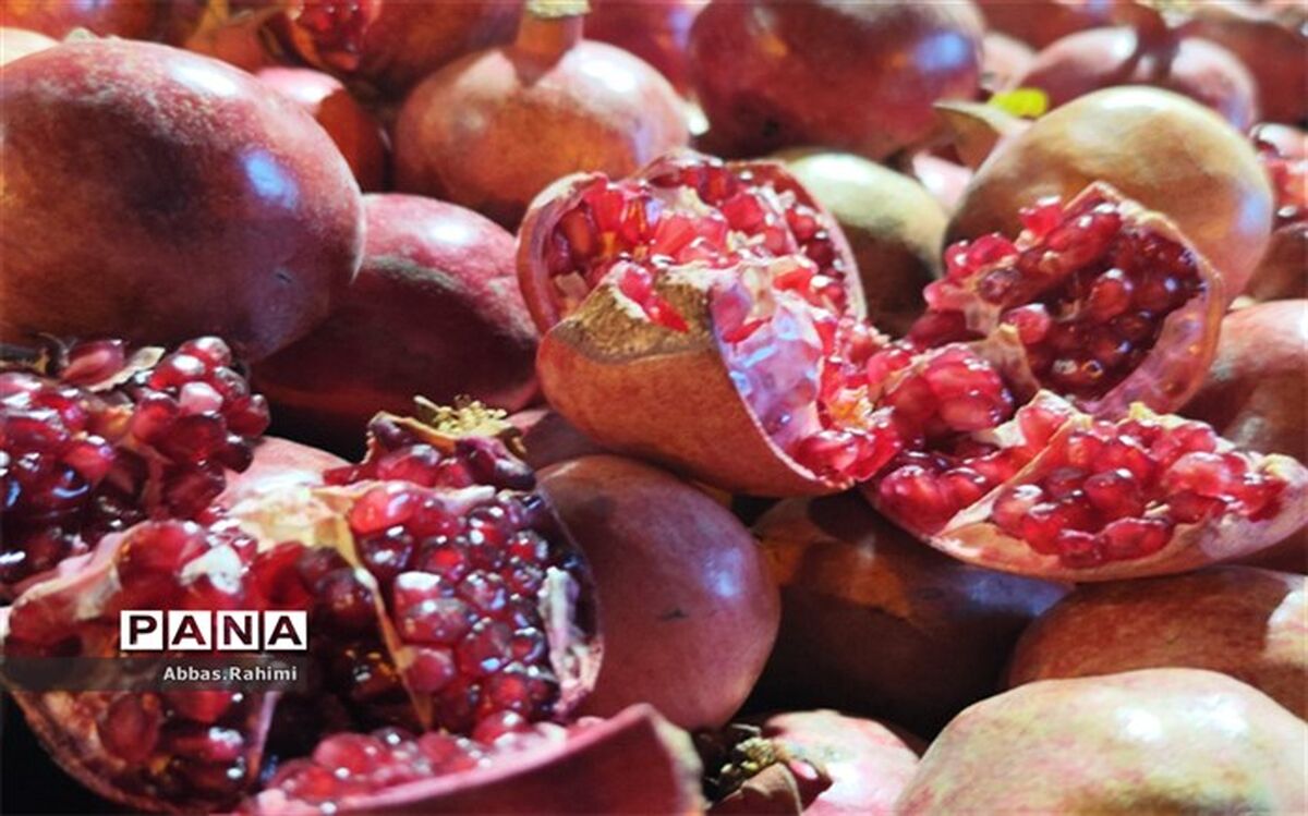 چهارمین جشنواره انار در روستای هدف گردشگری توچال پاکدشت برگزار شد/فیلم
