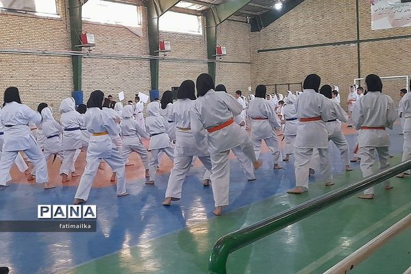 برگزاری فستیوال کاراته و خانواده به‌مناسبت هفته تربیت‌بدنی و ورزش در فیروزکوه