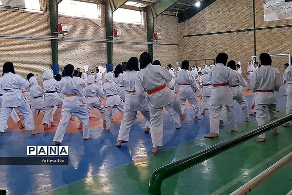 برگزاری فستیوال کاراته و خانواده به‌مناسبت هفته تربیت‌بدنی و ورزش در فیروزکوه