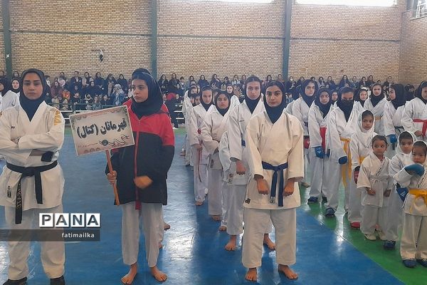 برگزاری فستیوال کاراته و خانواده به‌مناسبت هفته تربیت‌بدنی و ورزش در فیروزکوه
