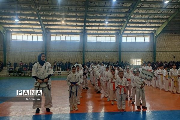 برگزاری فستیوال کاراته و خانواده به‌مناسبت هفته تربیت‌بدنی و ورزش در فیروزکوه