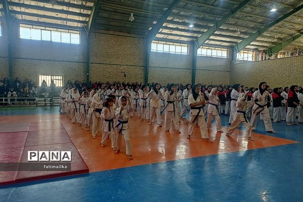 برگزاری فستیوال کاراته و خانواده به‌مناسبت هفته تربیت‌بدنی و ورزش در فیروزکوه