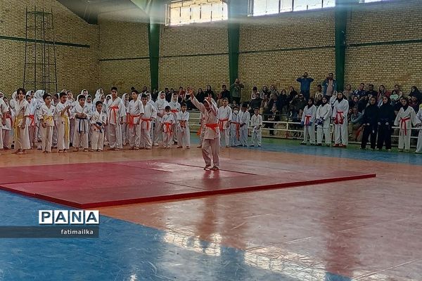 برگزاری فستیوال کاراته و خانواده به‌مناسبت هفته تربیت‌بدنی و ورزش در فیروزکوه