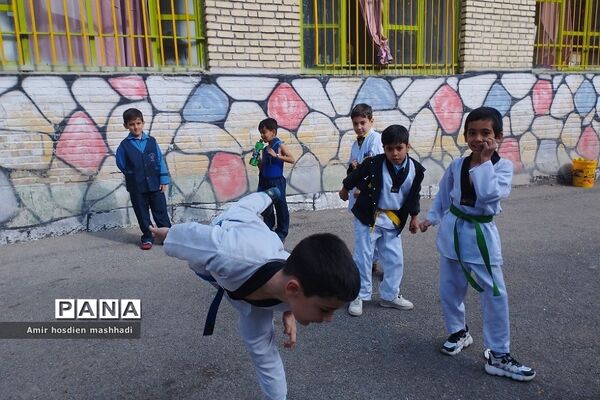المپیاد ورزش‌های رزمی در دبستان دانش رودهن