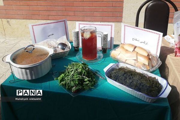 آغاز طرح آهن‌یاری در دبیرستان بانو عفت‌آهنگری ناحیه‌یک شهرری