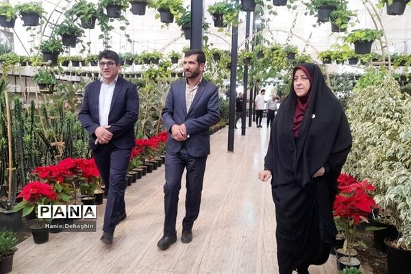 کارگاه مهارتی مشاوران مدرسه در پاکدشت