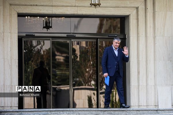 در حاشیه جلسه هیات دولت