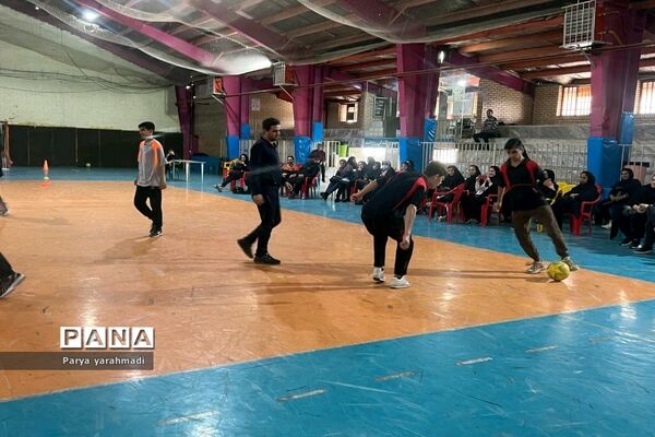 همایش دبیران تربیت‌بدنی در سالن حضرت رقیه (س) شهرستان ورامین