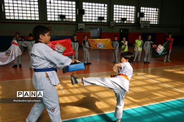 افتتاحیه المپیادورزشی درون مدرسه‌ای دبستان پسرانه علوی منطقه ۱۳