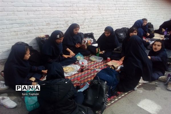 جشنواره غذای سالم در مدرسه عارفه شهر اراک