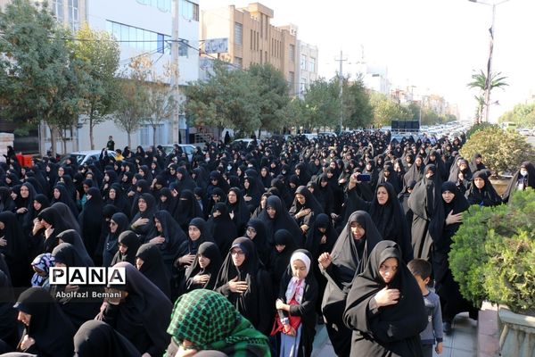 دسته عزاداری خادمان آستان مقدس حضرت معصومه(س)