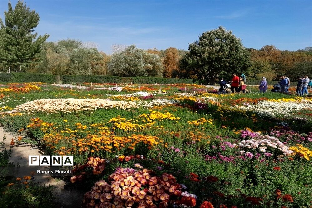 باغ گیاه‌شناسی ملی ایران