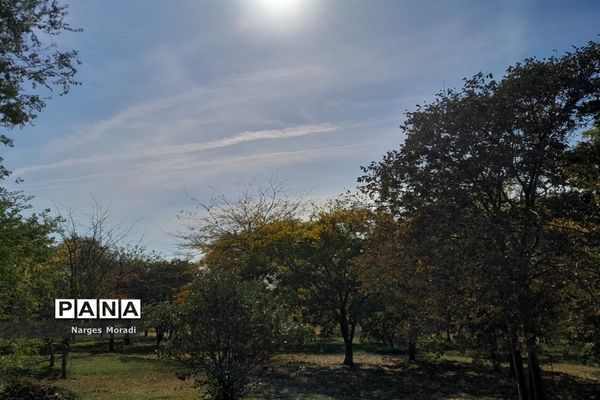 باغ گیاه‌شناسی ملی ایران