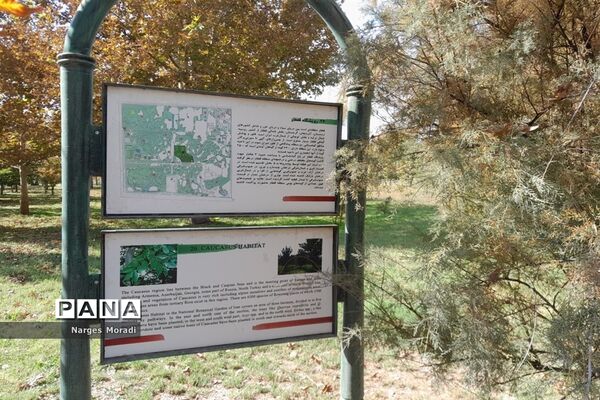 باغ گیاه‌شناسی ملی ایران