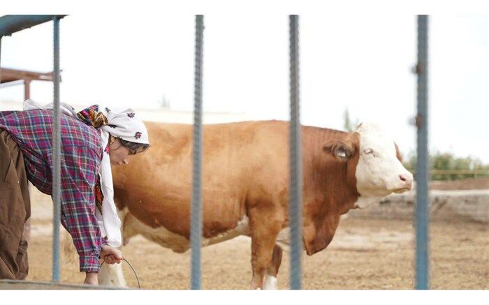 «چرخه‌ نهم» به مرحله تدوین رسید