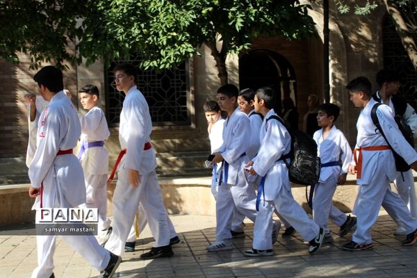 همایش  پیاده‌روی خانوادگی در ساری