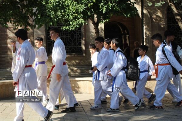 همایش  پیاده‌روی خانوادگی در ساری